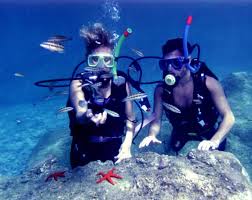 Marine life and scuba diving in Turkey